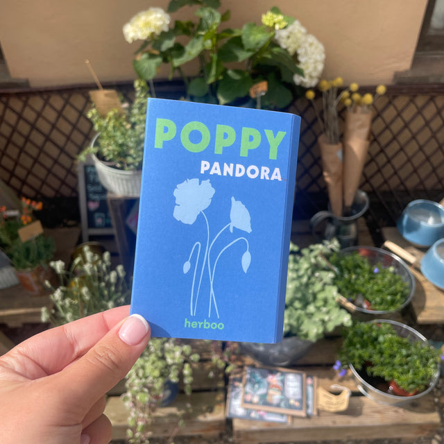 Poppy Pandora Seeds