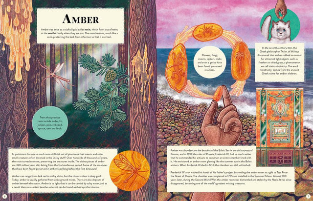 Secret Lives Of Stones