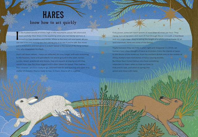 The Hidden Wisdom Of Animals