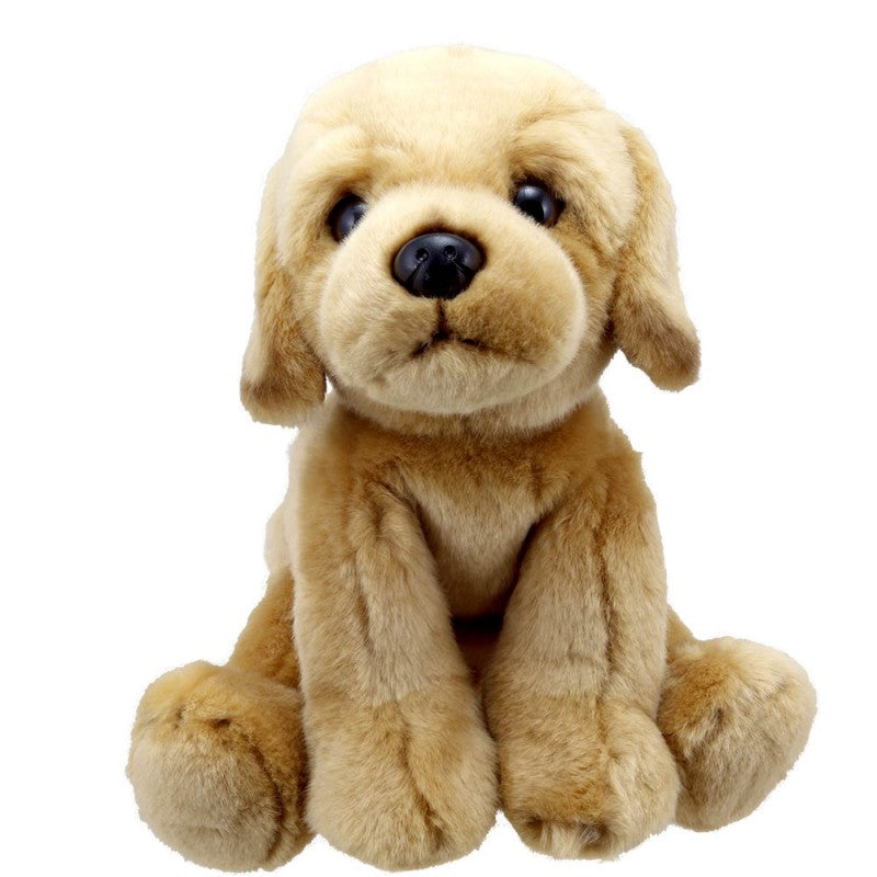 Golden Labrador Dog Soft Toy