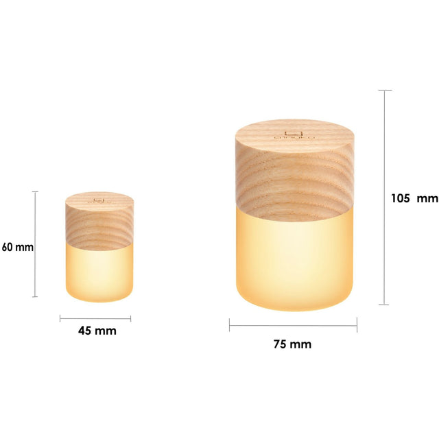 Large Lemelia Light: White Ash