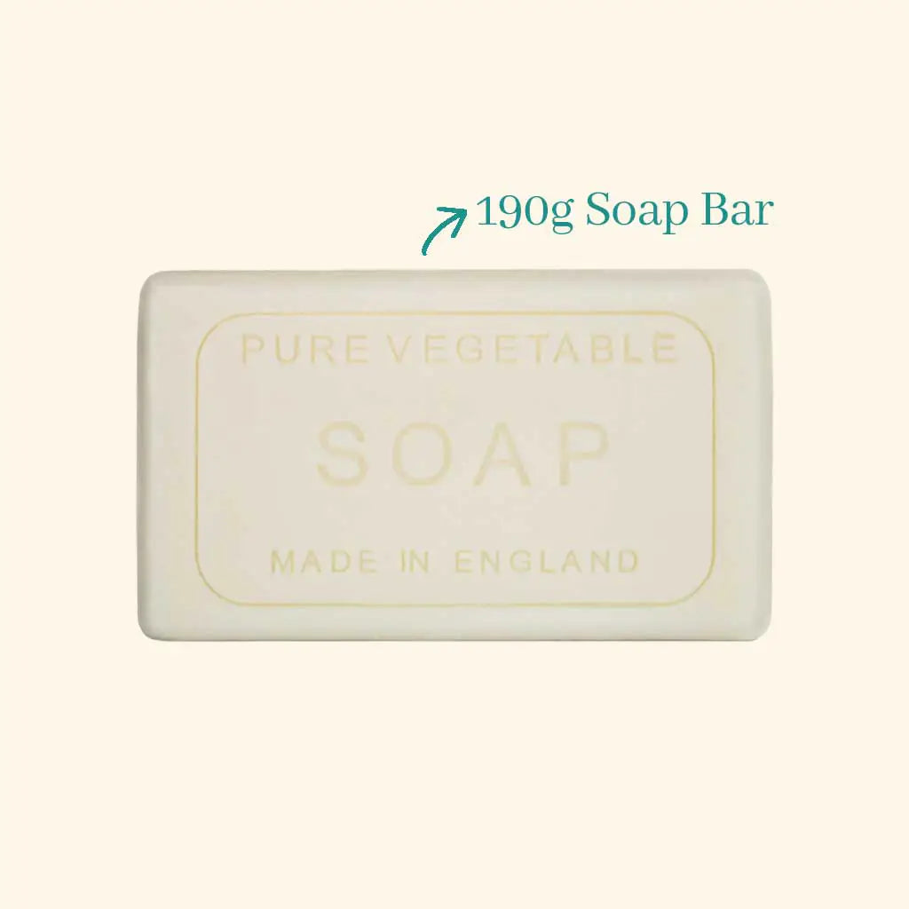 Polar Lights Hand & Body Soap