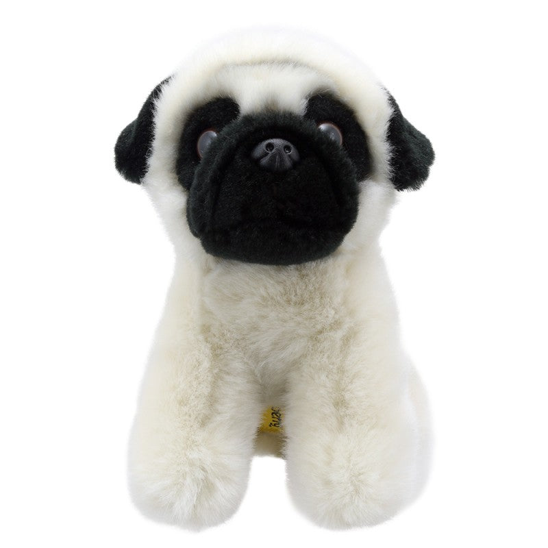 Little Pug Soft Toy