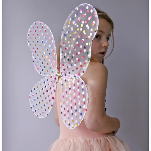 Rainbow Spotty Fairy Wings