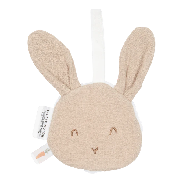 Bunny Pacifier Muslin Cloth