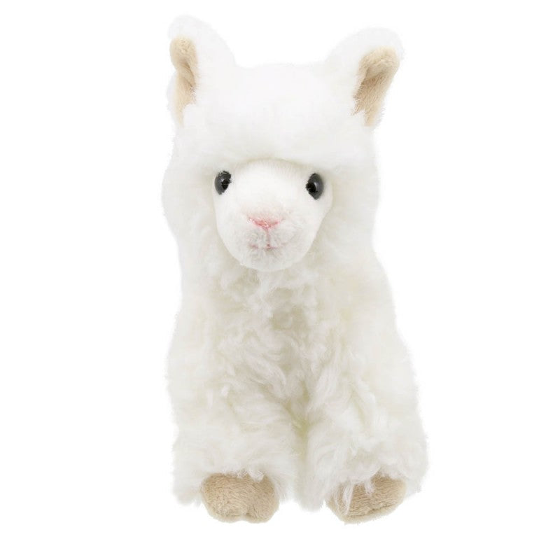Little Llama Soft Toy