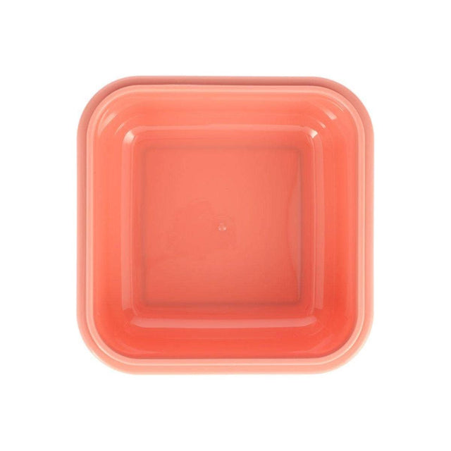 Wild Fairies Large Lunch Box