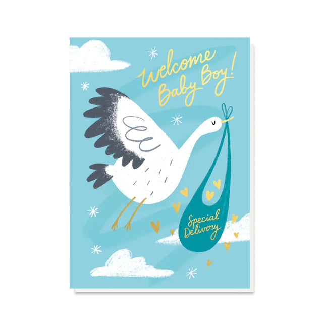 Welcome Baby Boy Stork Card