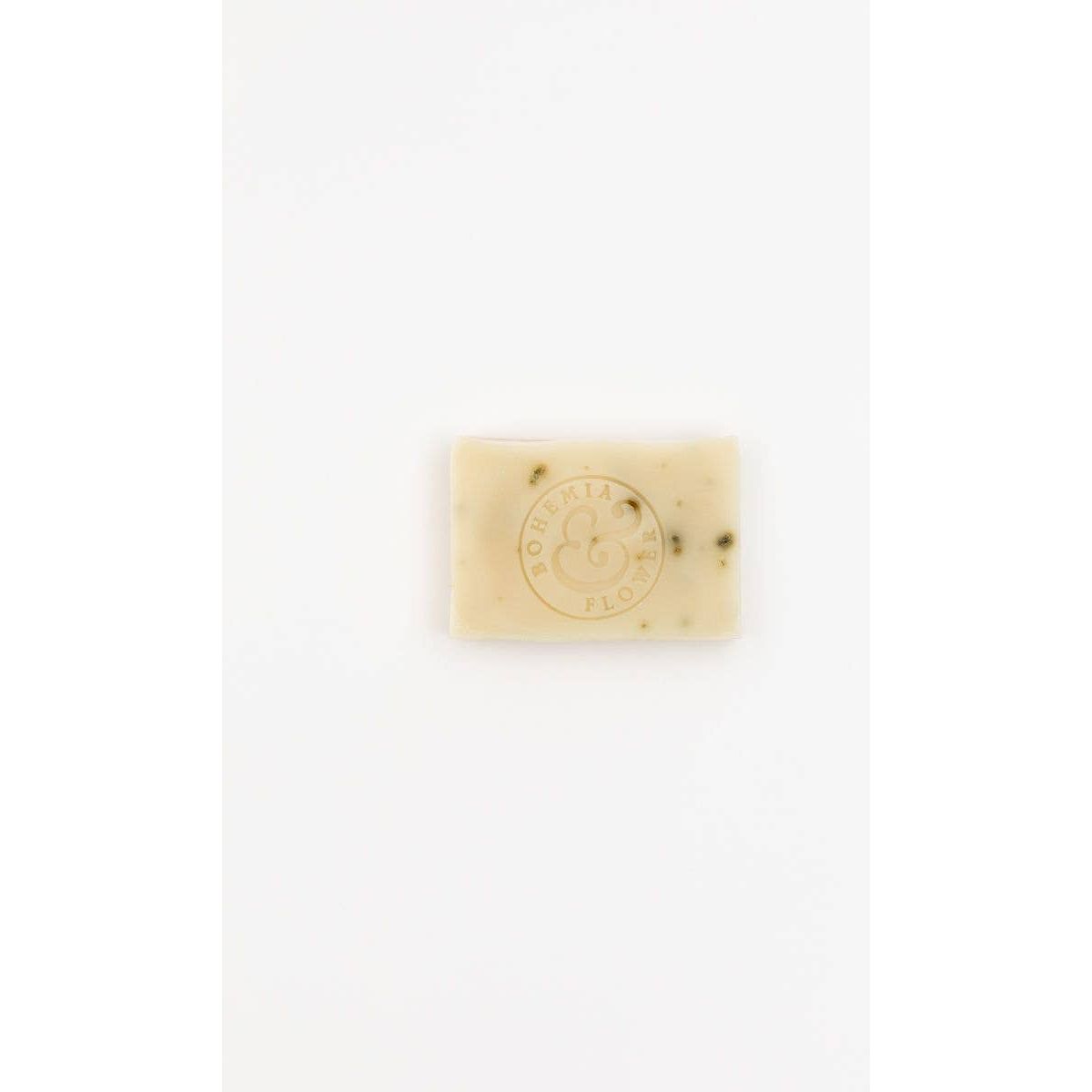 Coast Soap Bar