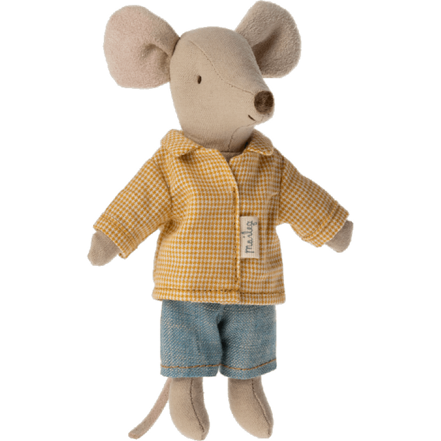 Brother Mouse In Matchbox