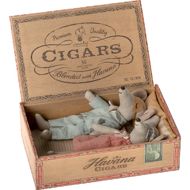 Mum And Dad Mice In Cigar Box