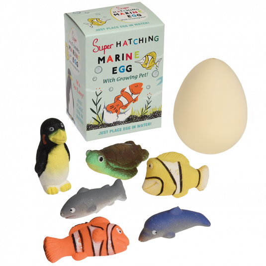 Hatching Marine Animal Egg