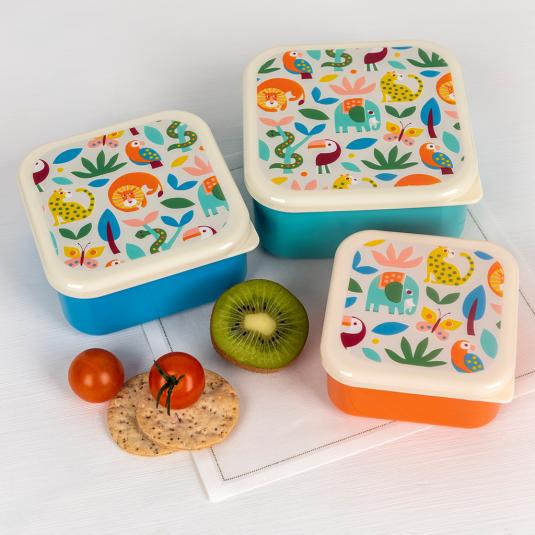 Set Of 3 Wild Wonders Snack Boxes