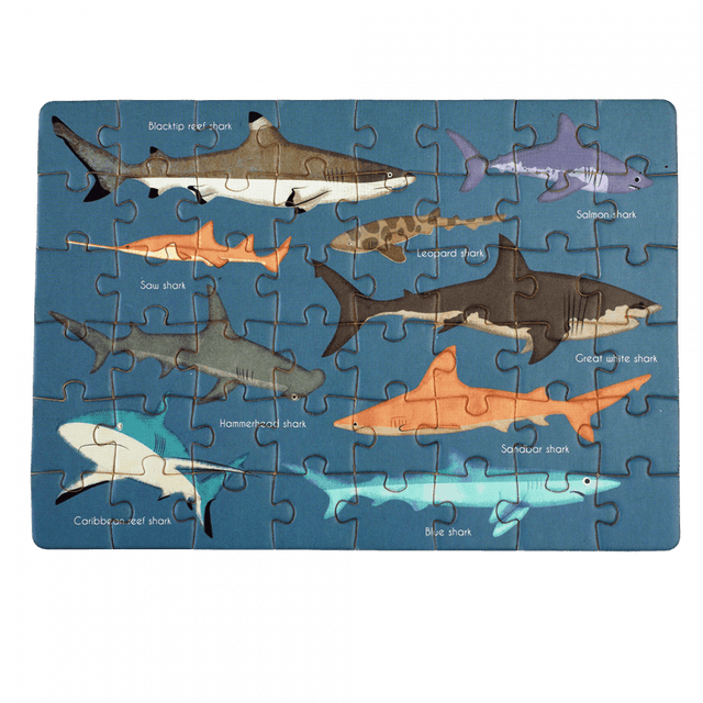 Sharks Matchbox Puzzle