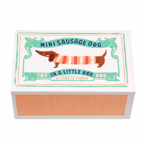 Little Sausage Dog In Matchbox