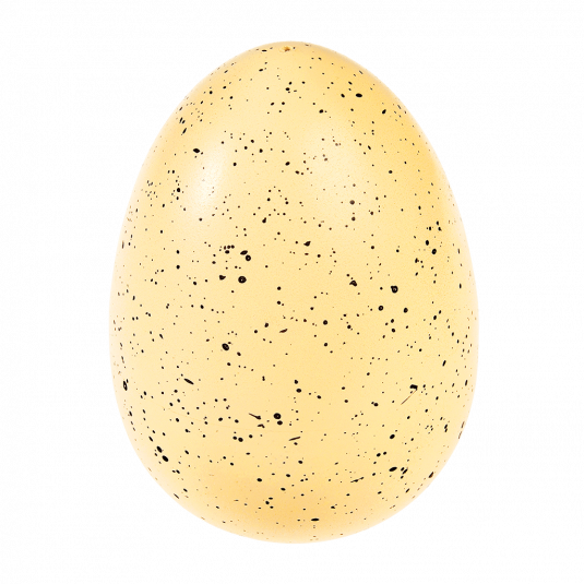 Giant Fairy Hatching Egg