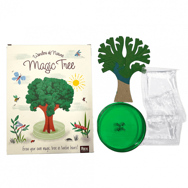 Wonders Of Nature Magic Tree