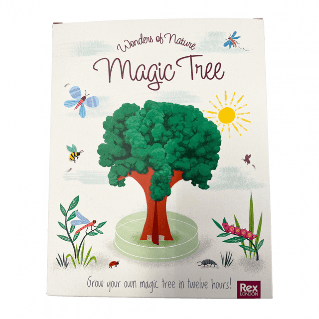 Wonders Of Nature Magic Tree