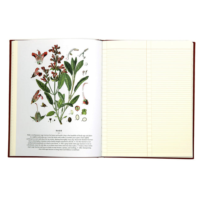 Observer's Notebook