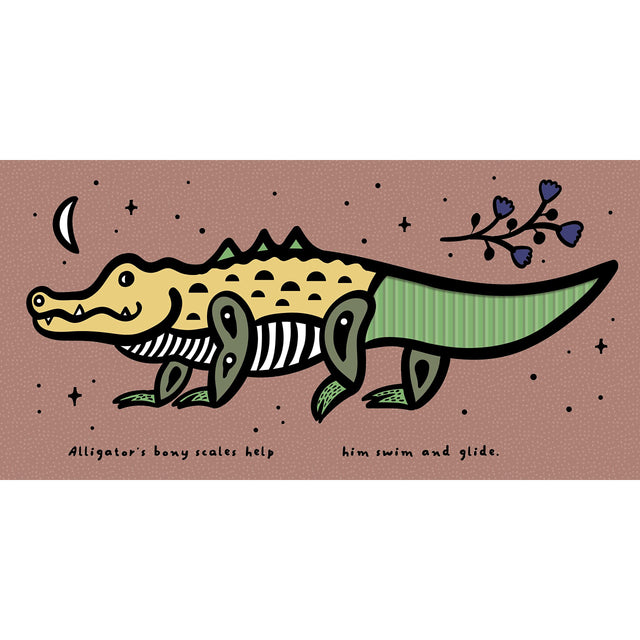 Scales Touch And Feel Book