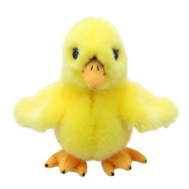 Little Chick Soft Toy