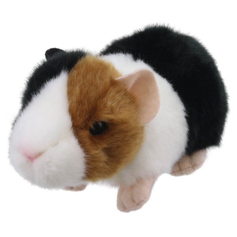 Little Guinea Pig Soft Toy