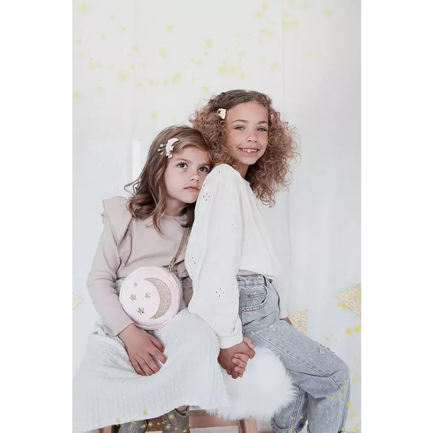 Moon And Stars Velvet Bag