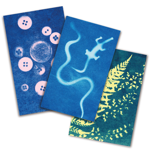 Sunography Paper Colour