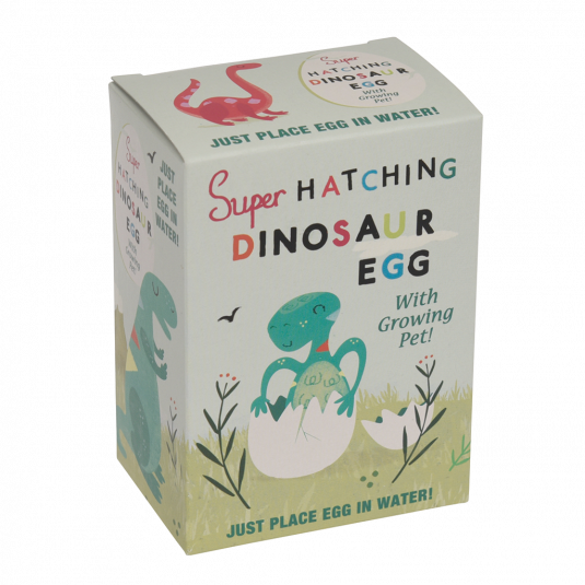 Dinosaur Hatching Egg