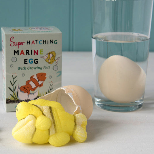 Hatching Marine Animal Egg