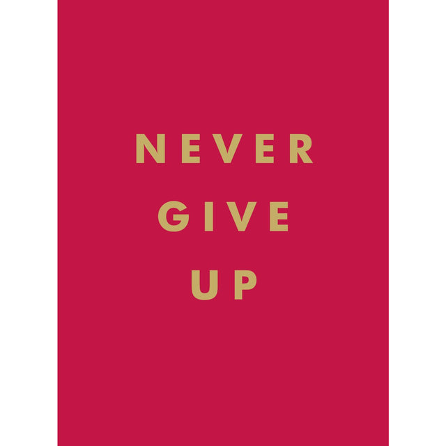 Never Give Up