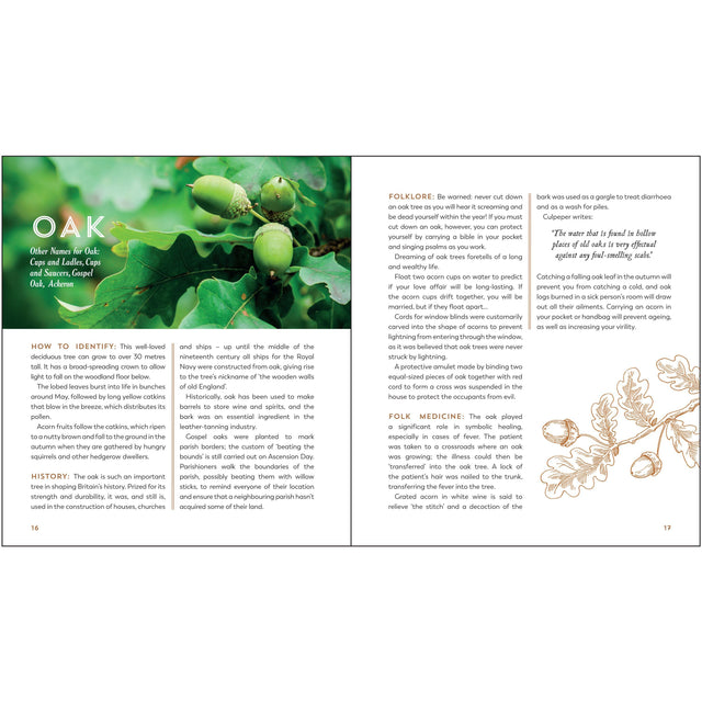 The Hedgerow Apothecary