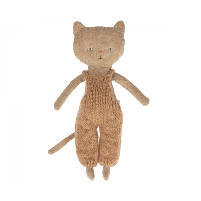Ginger Kitten