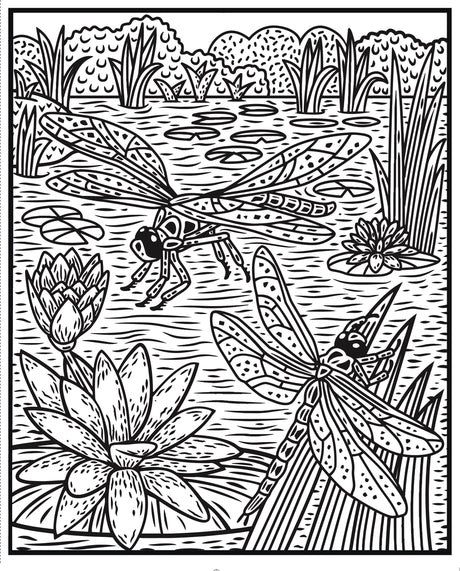 Magic Painting Book: Bugs
