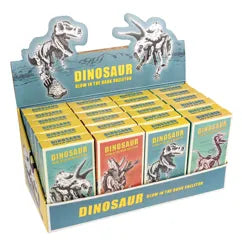 Assorted Dinosaur Skeleton Kit