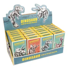 Load image into Gallery viewer, Assorted Dinosaur Skeleton Kit
