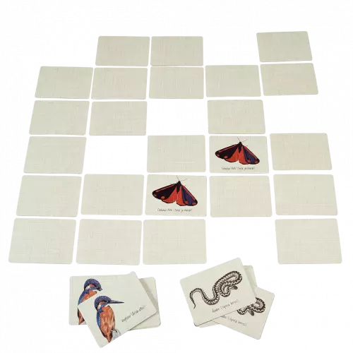 Nature Trail Memory Game
