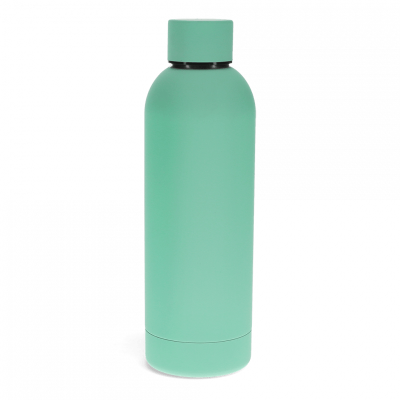 Mint Rubber Coated Steel Water Bottle