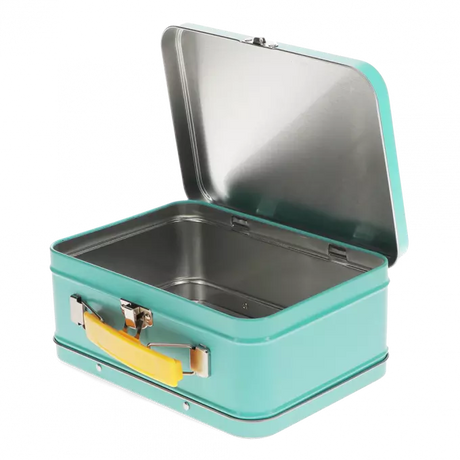 Dinosaur Tin Case