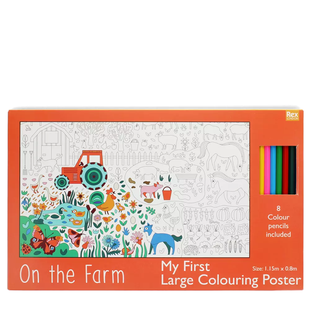 Large Colouring Poster: On The Farm