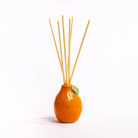Orange Fruit Diffuser