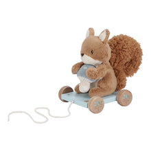 Load image into Gallery viewer, Pull Along Soft Squirrel