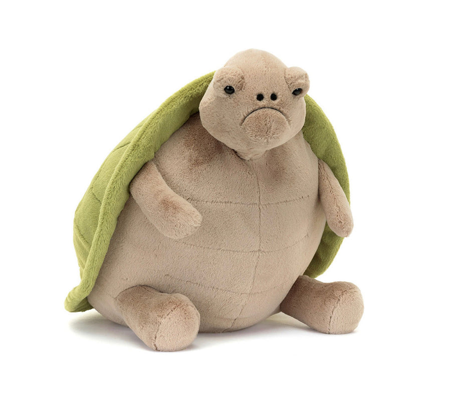 Big Timmy Turtle