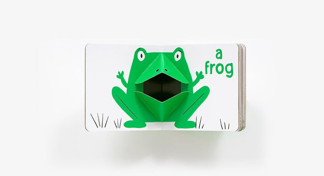 Green Pop Mini Hardback Book