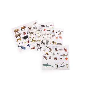 World Map Transfers