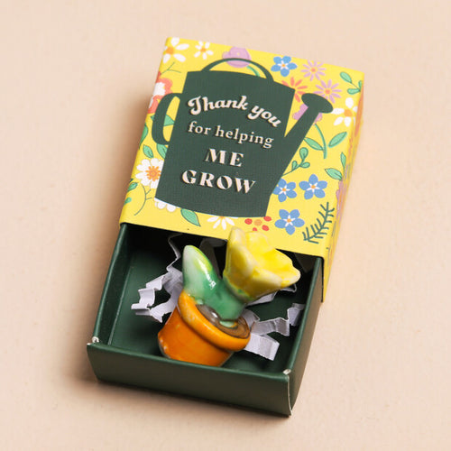 Tiny Matchbox Ceramic Plant Pot