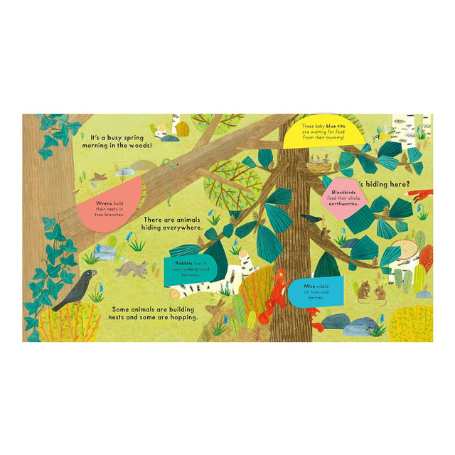 National Trust: Who's Hiding in the Woods?