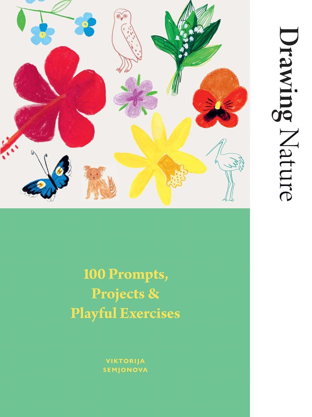 Drawing Nature: 100 Prompts, Projects & Playful Activities