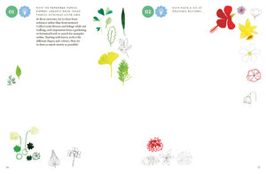 Drawing Nature: 100 Prompts, Projects & Playful Activities