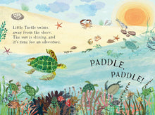 Load image into Gallery viewer, Little Turtles Book Of The Blue